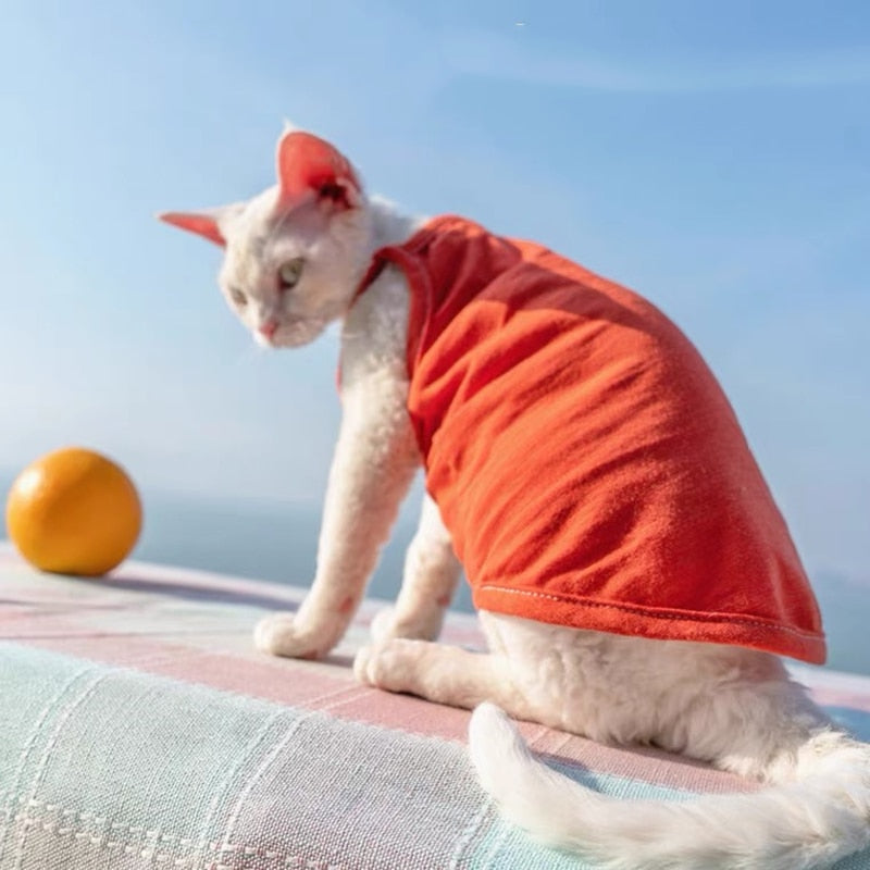 Camisole Clothes for Cats
