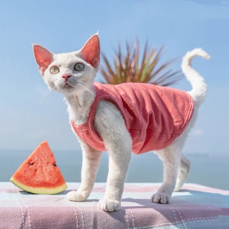 Camisole Clothes for Cats