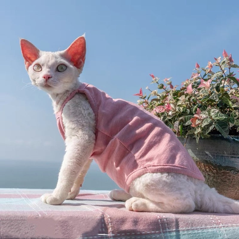 Camisole Clothes for Cats