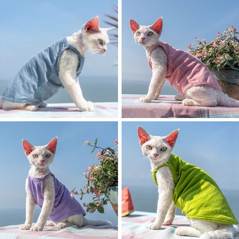Camisole Clothes for Cats