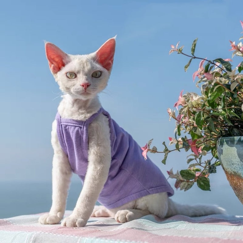 Camisole Clothes for Cats