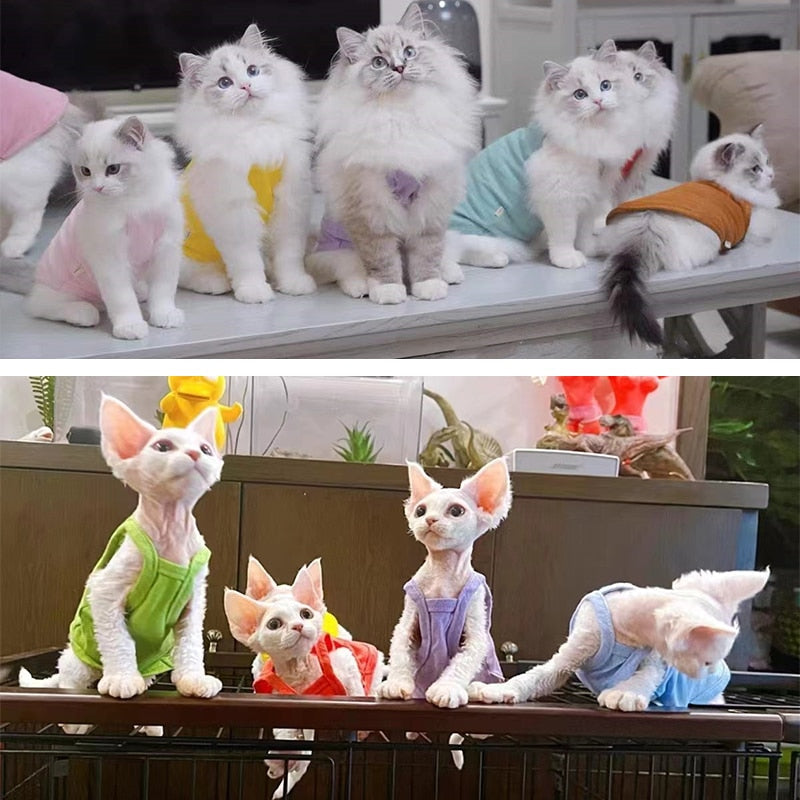 Camisole Clothes for Cats