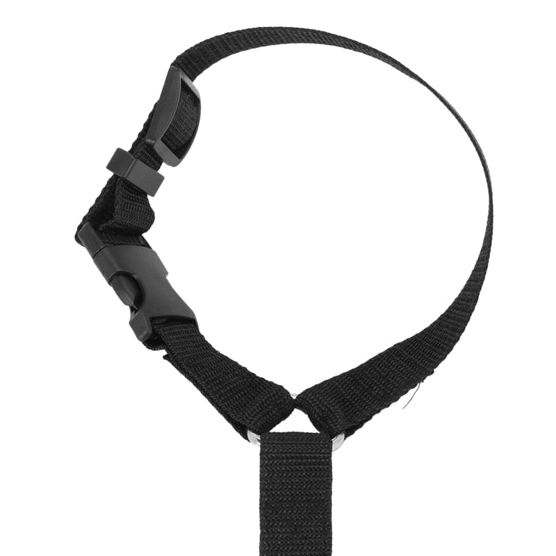 Car Cat Harness