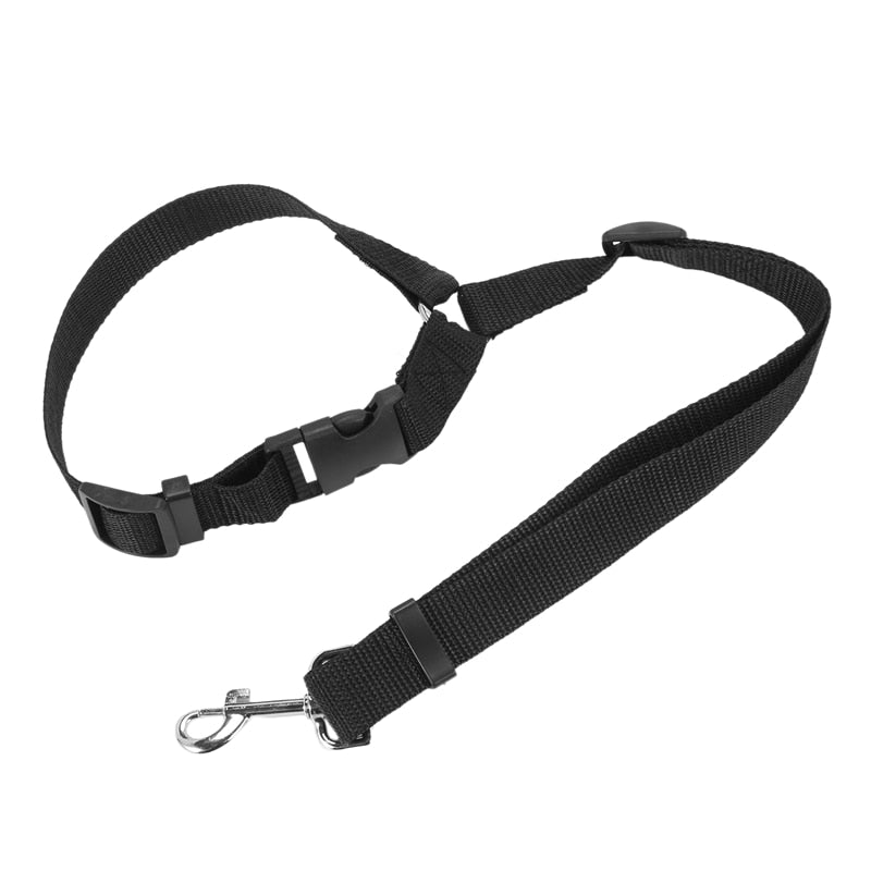 Car Cat Harness