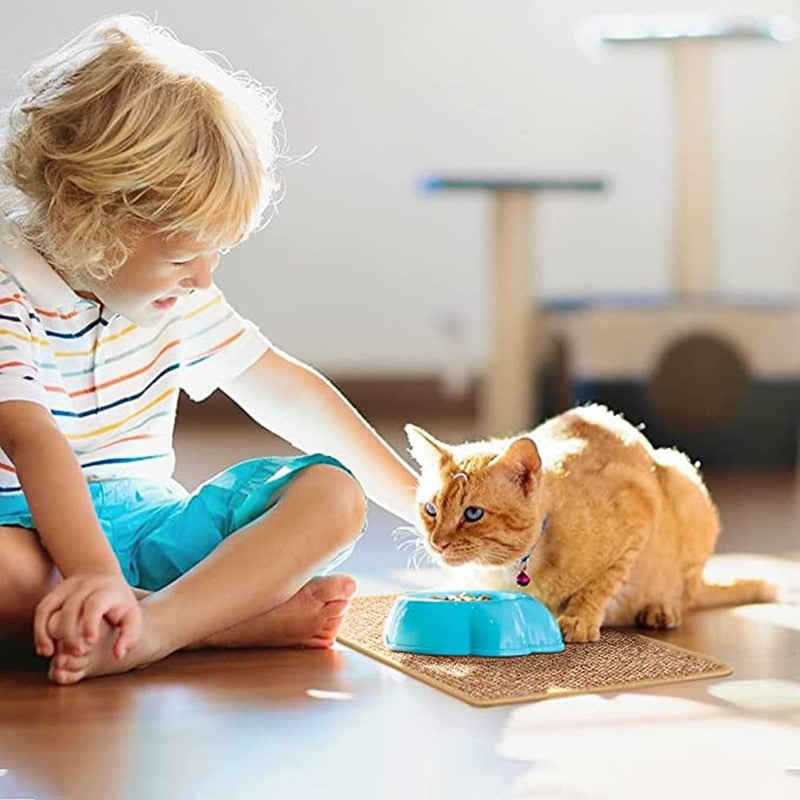 Carpet Cat Scratching Post
