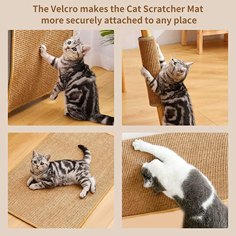 Carpet Cat Scratching Post