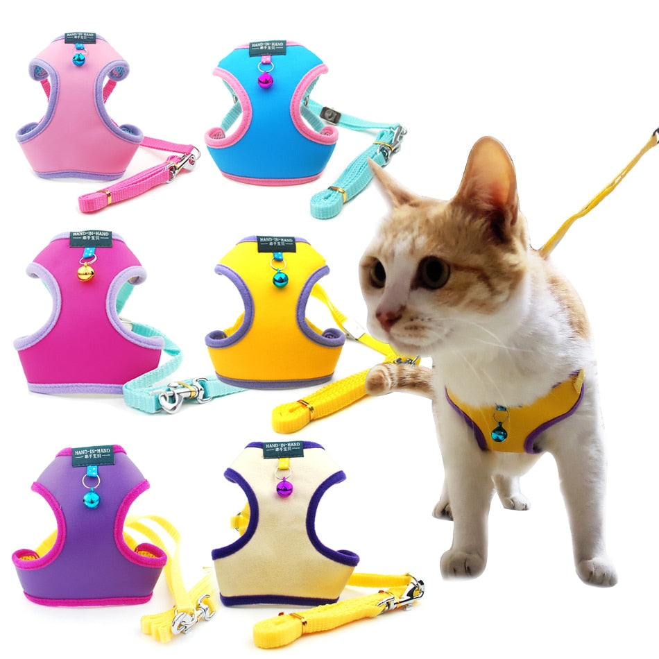 Cat Bell Walk Harness