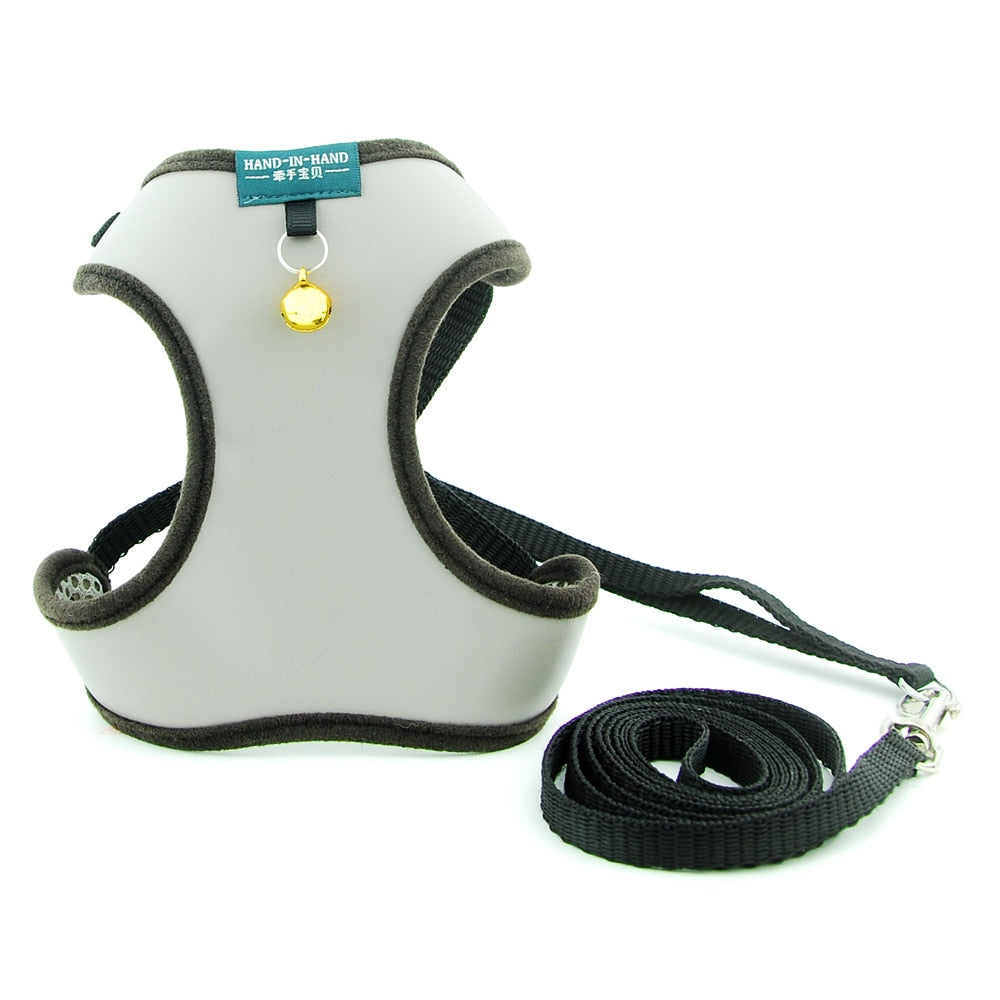 Cat Bell Walk Harness