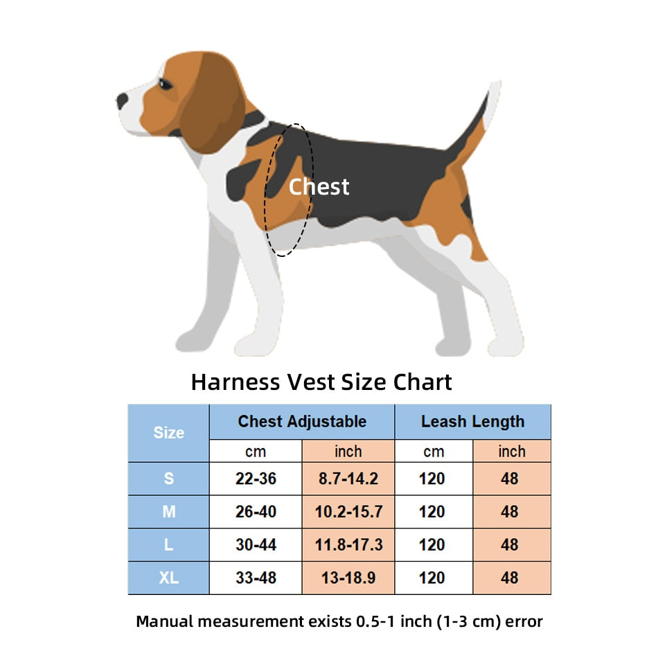 Cat Bell Walk Harness