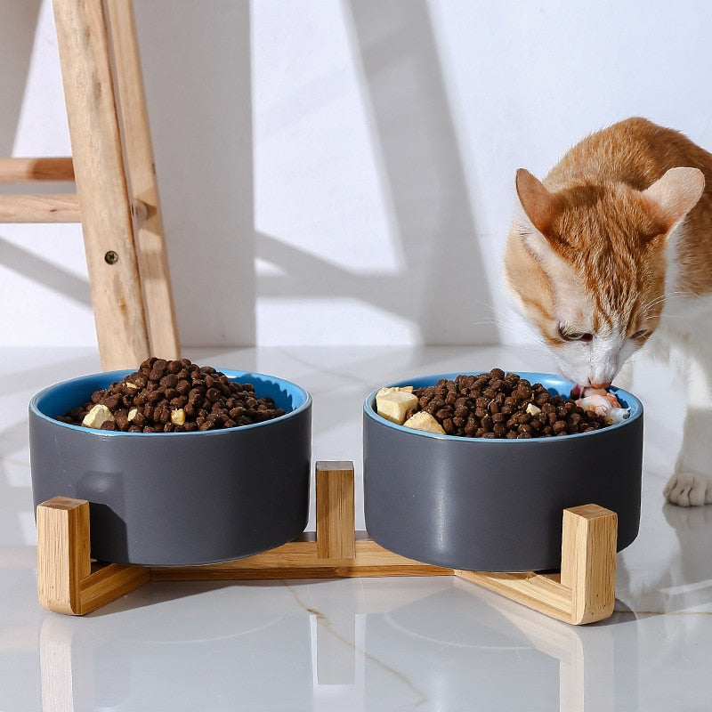Cat Bowl Stand