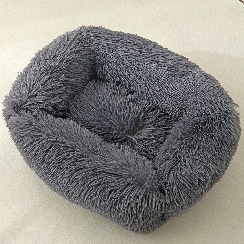 Cat Box Bed