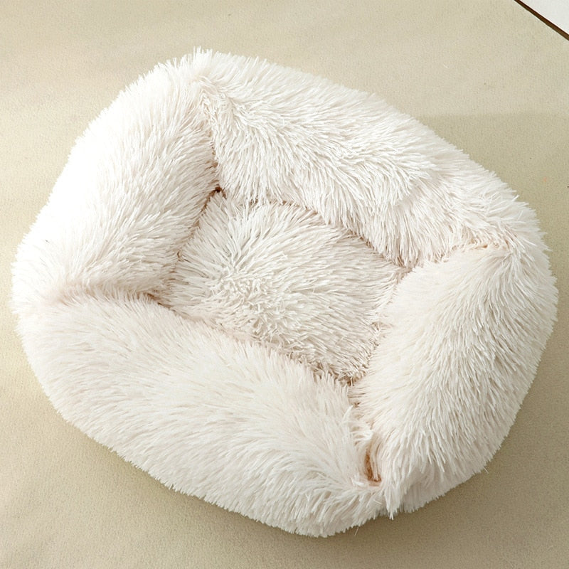 Cat Box Bed