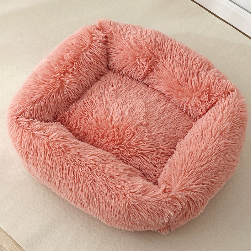 Cat Box Bed
