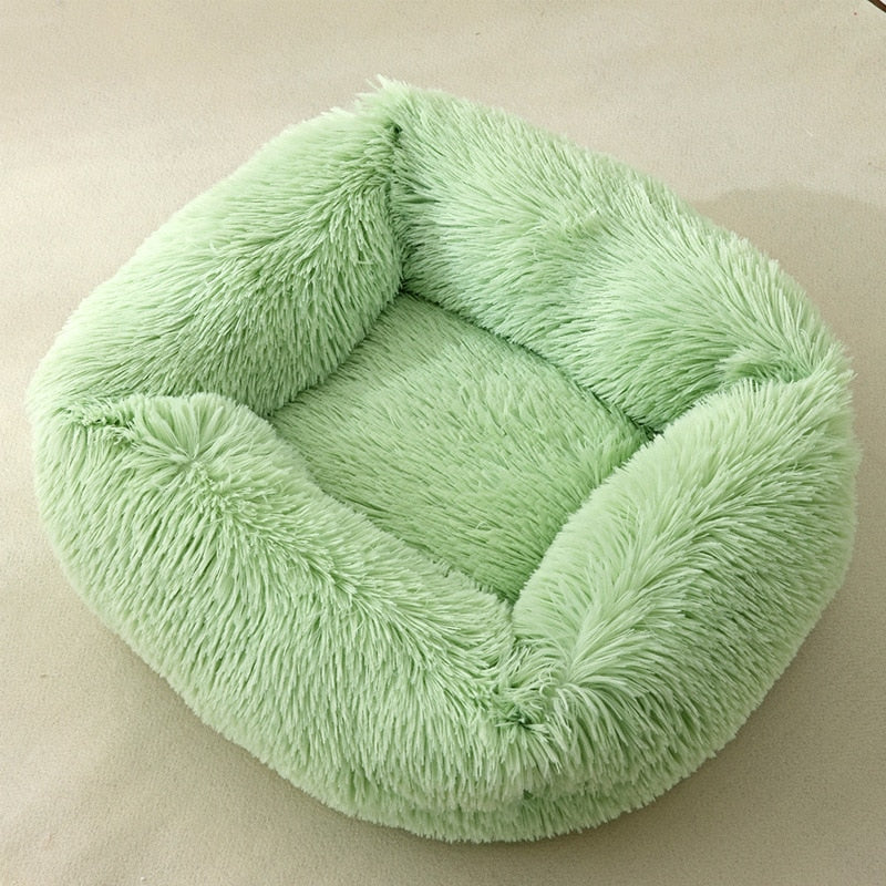 Cat Box Bed