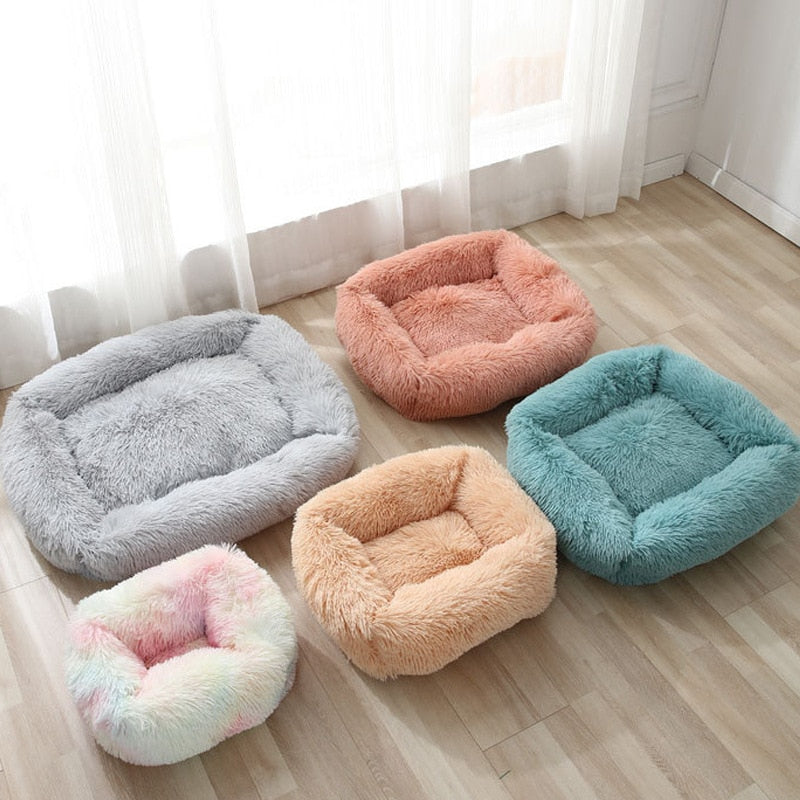 Cat Box Bed