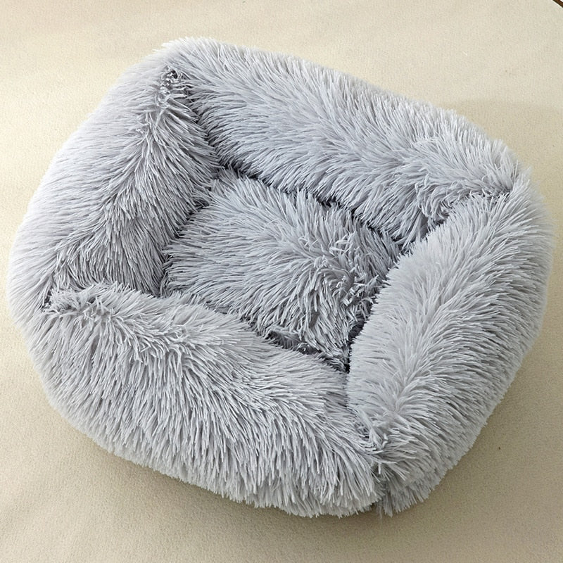 Cat Box Bed