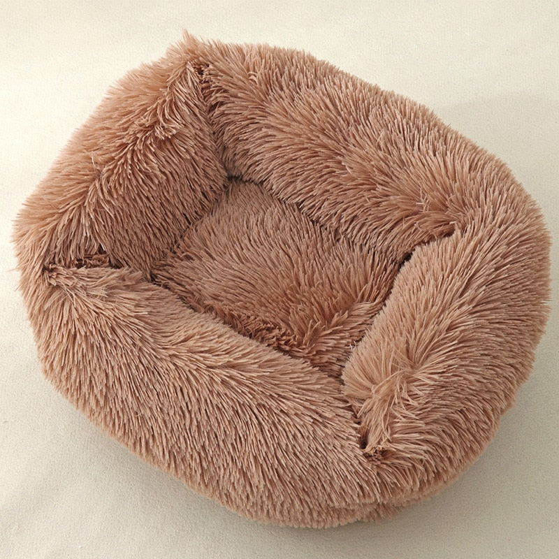 Cat Box Bed