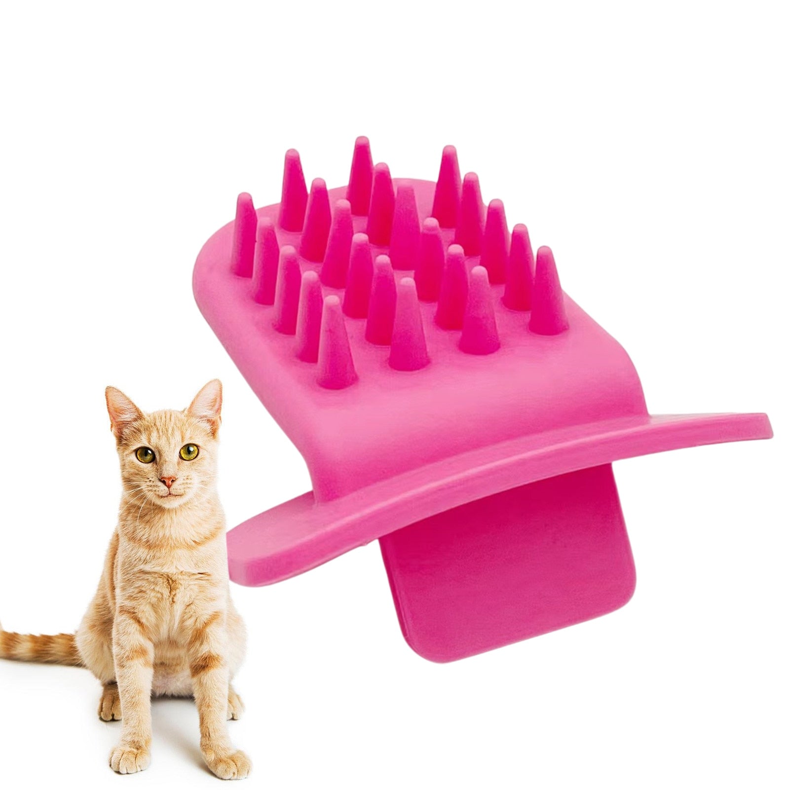Cat Brush Lick