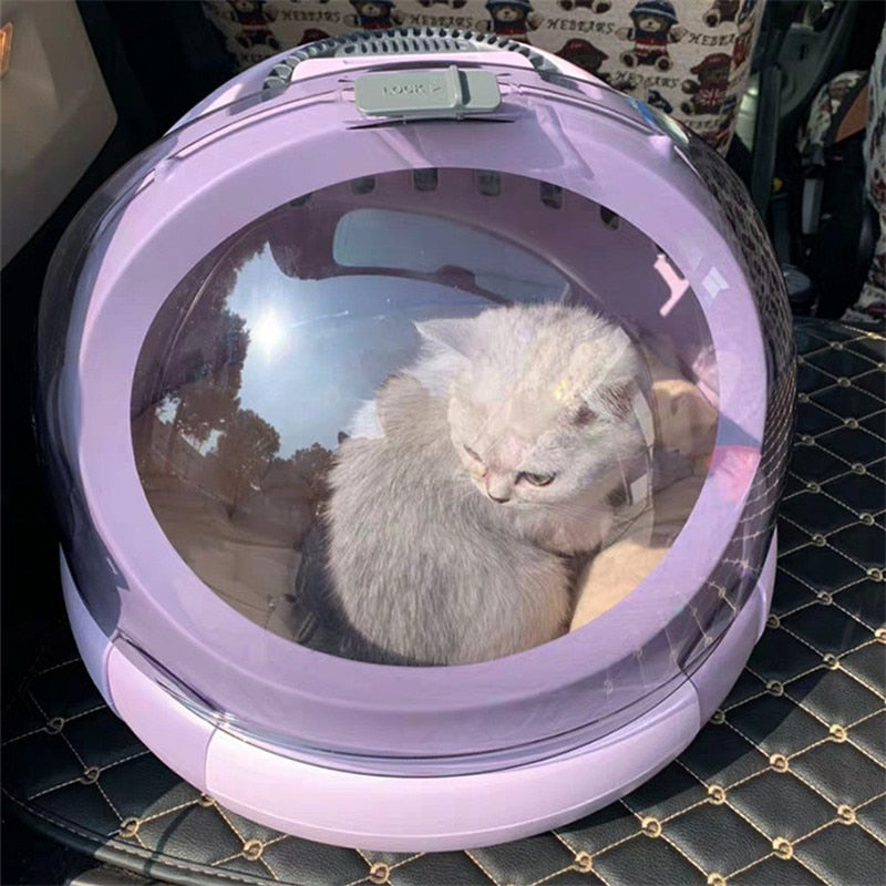 Cat Capsule Bed