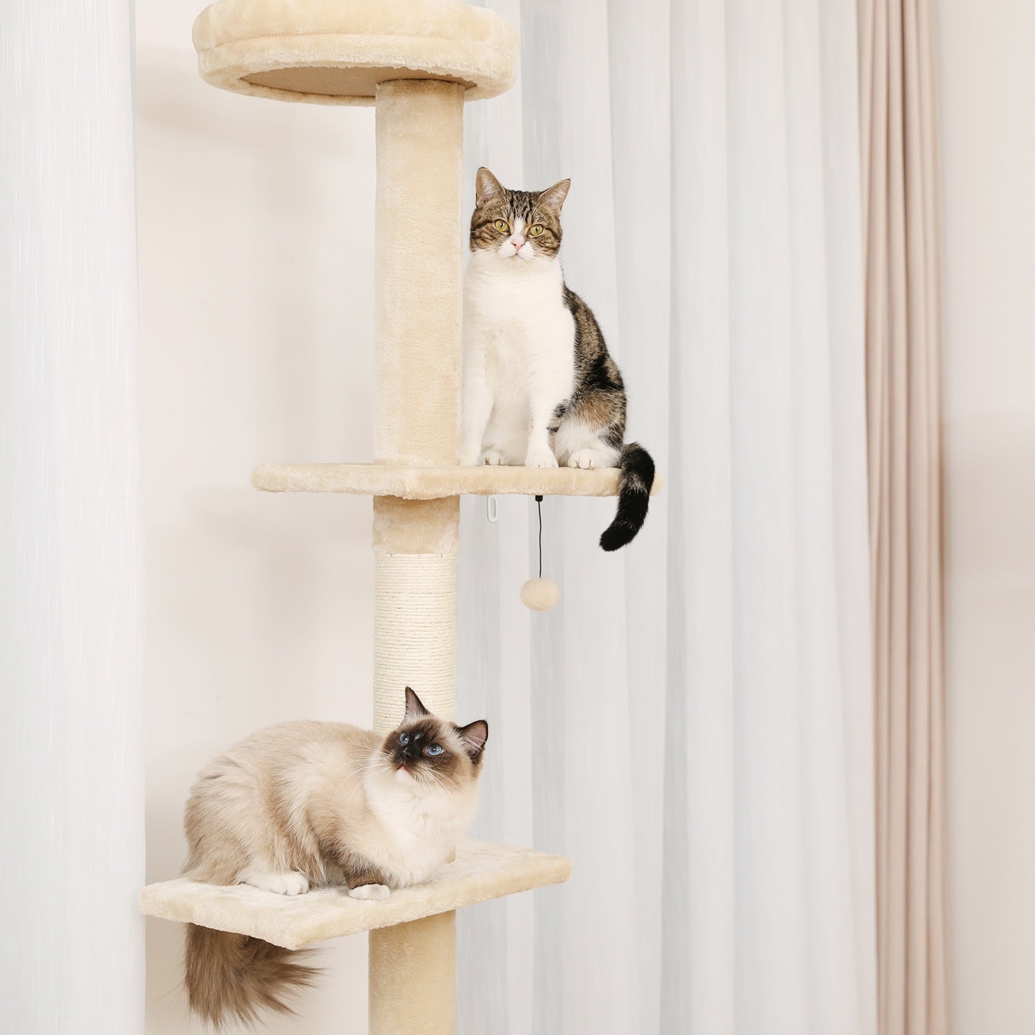 Cat Climber Tree