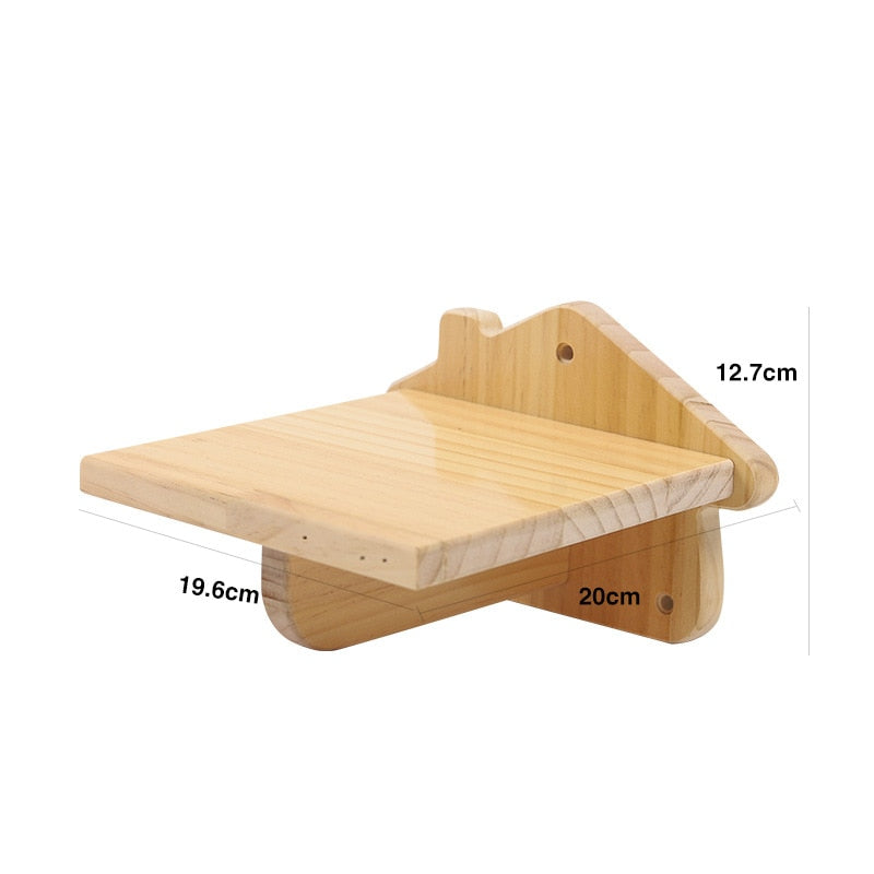 Cat Climbing Wall Platform