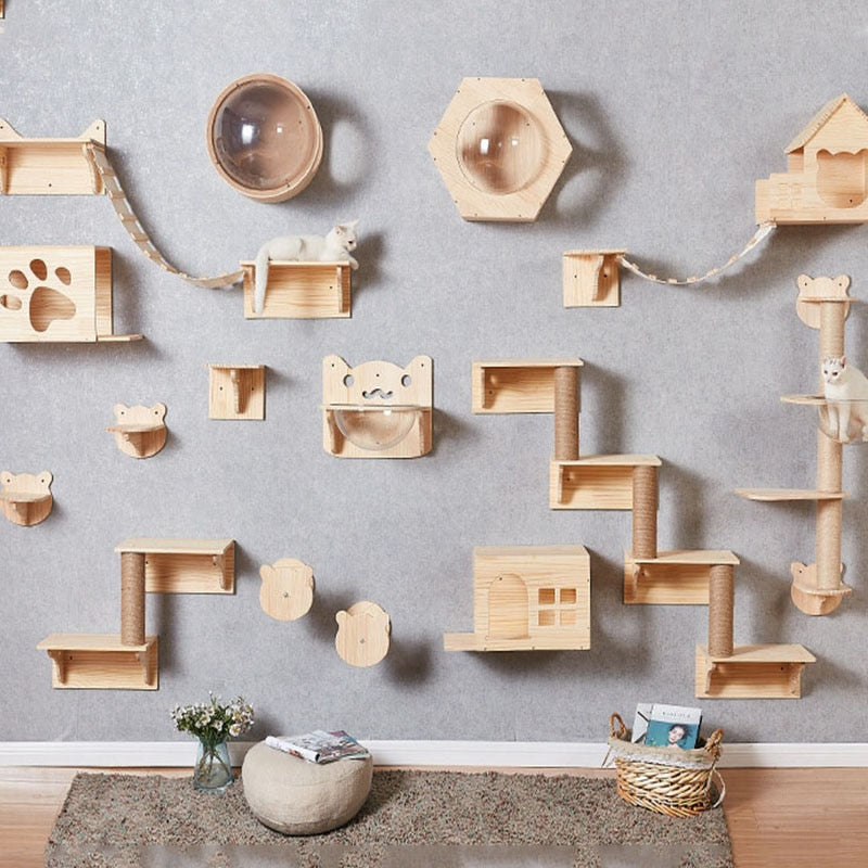 Cat Climbing Wall Platform
