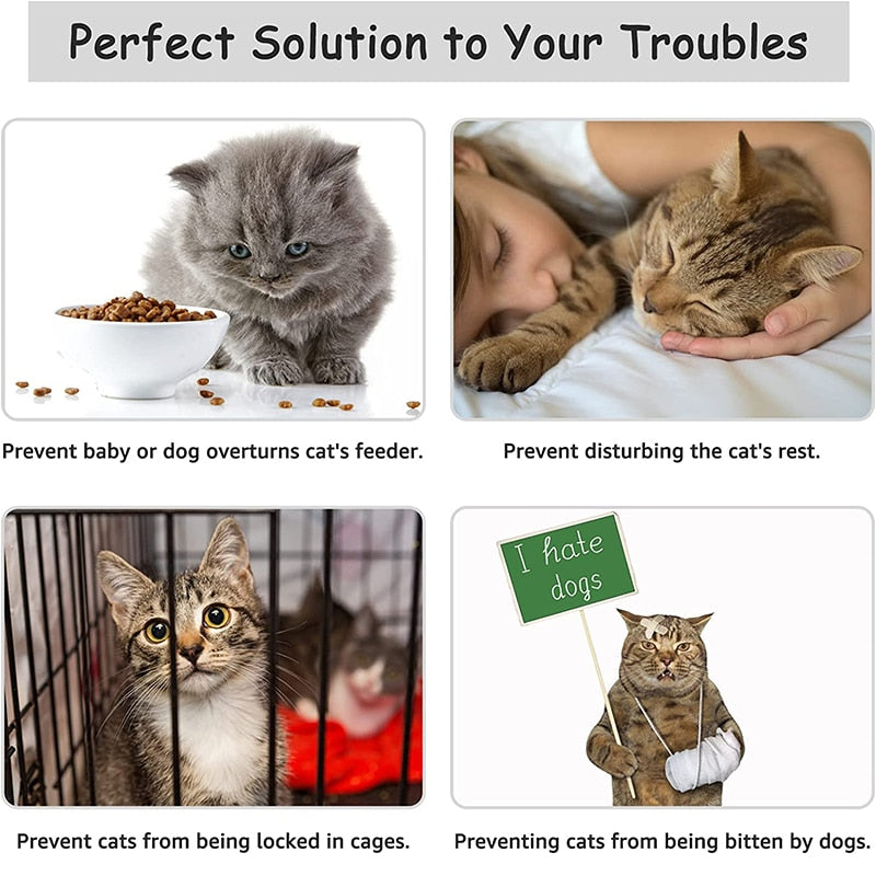 Cat Door Holder