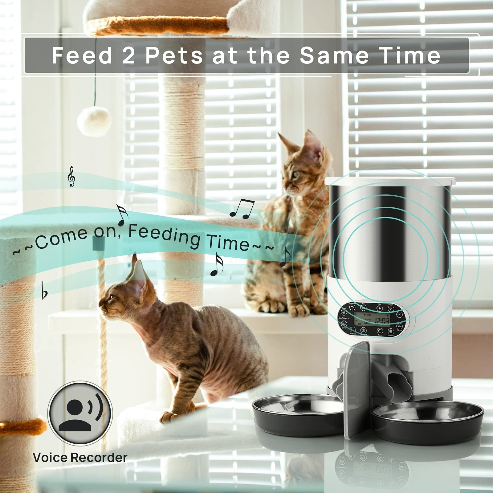 Cat Dry Food Dispenser