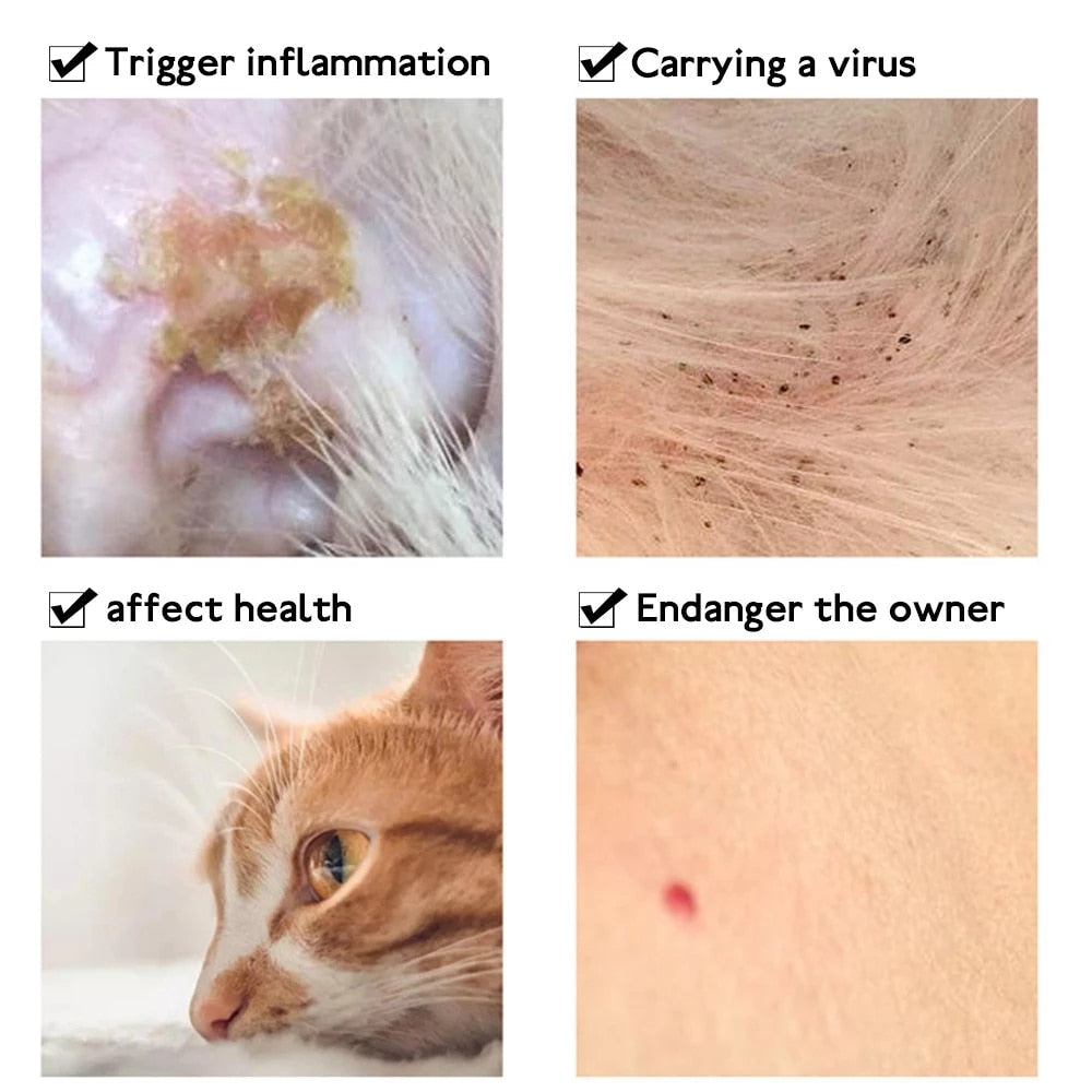 Cat Flea Collar