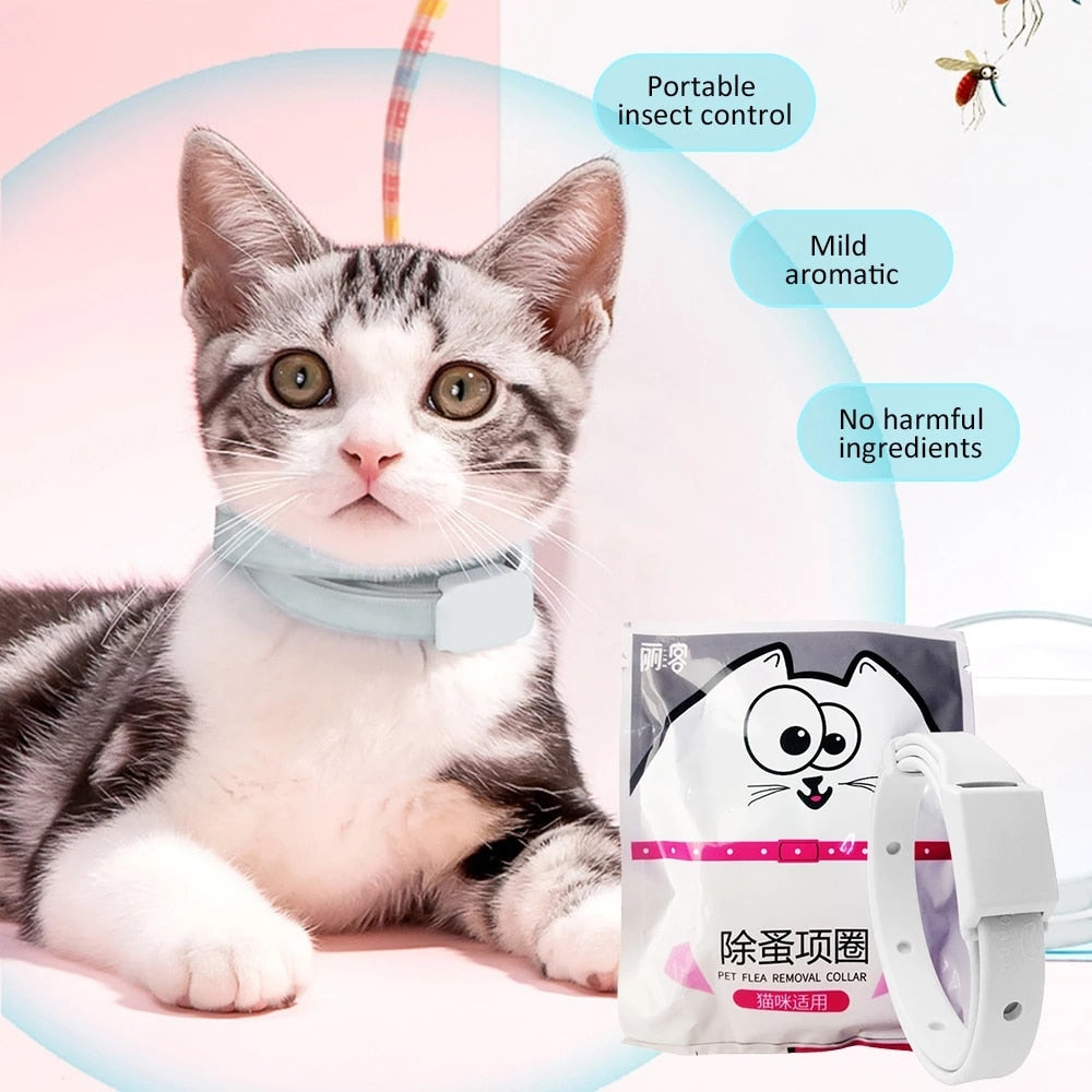 Cat Flea Collar