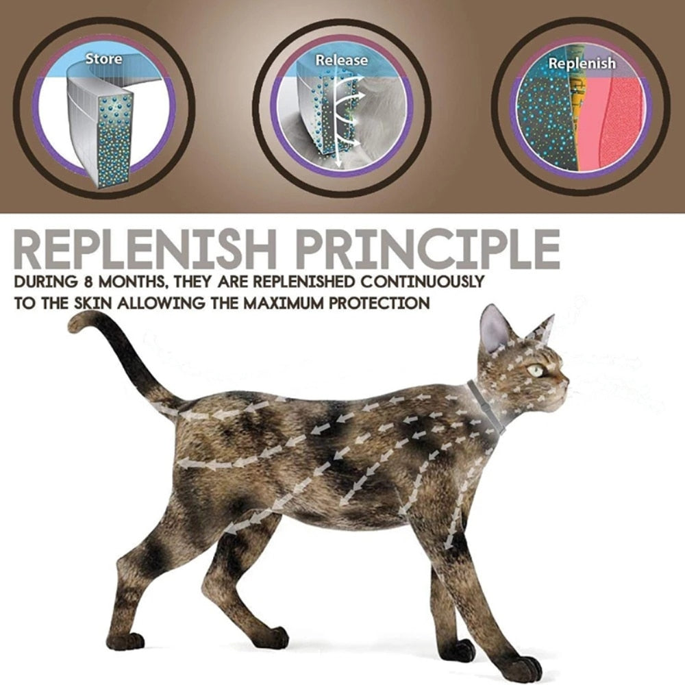 Cat Flea Collars