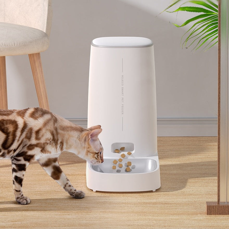 Cat Food Automatic Dispenser