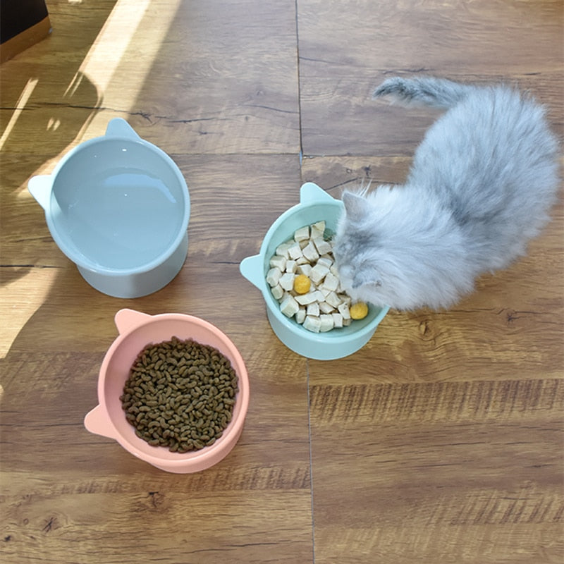 Cat Food Bowls
