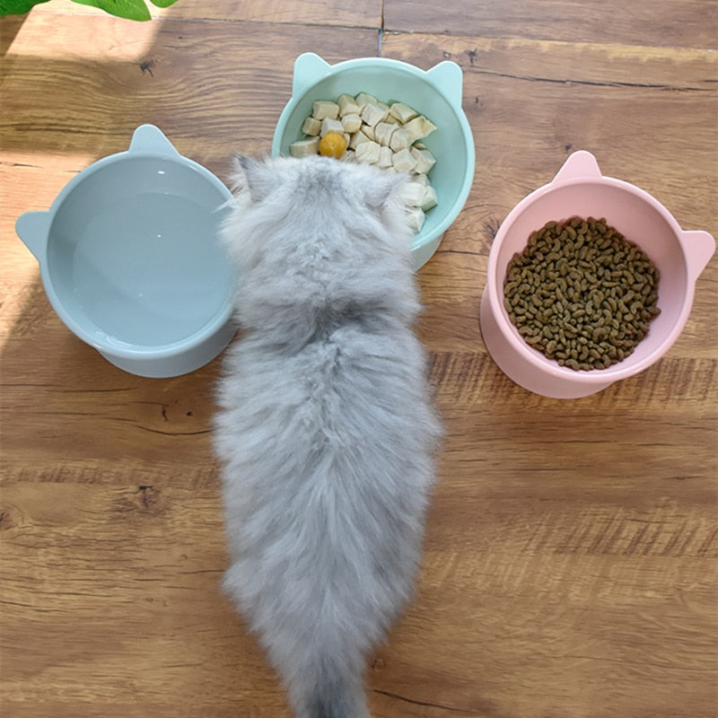 Cat Food Bowls