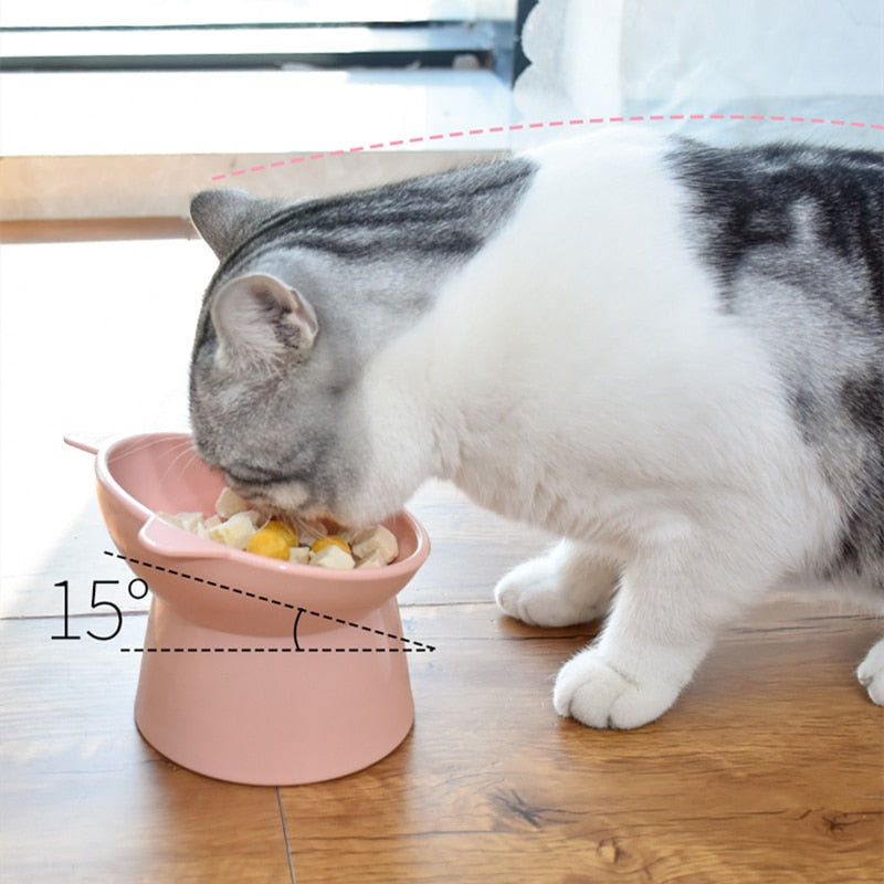 Cat Food Bowls