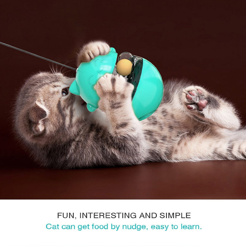 Cat Food Dispenser Toy