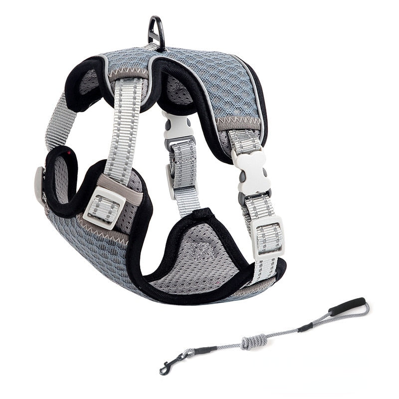 Cat Full Body Harness