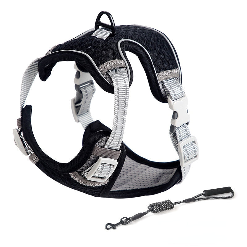 Cat Full Body Harness