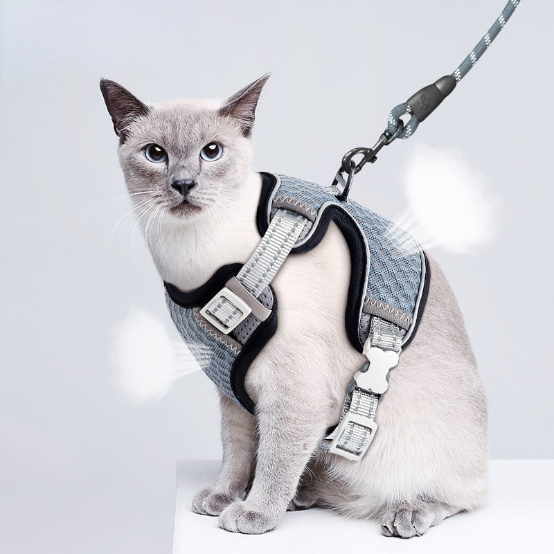 Cat Full Body Harness