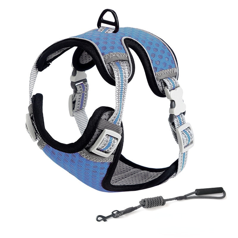 Cat Full Body Harness