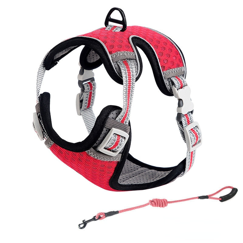 Cat Full Body Harness