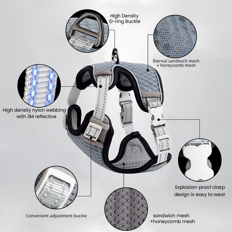 Cat Full Body Harness