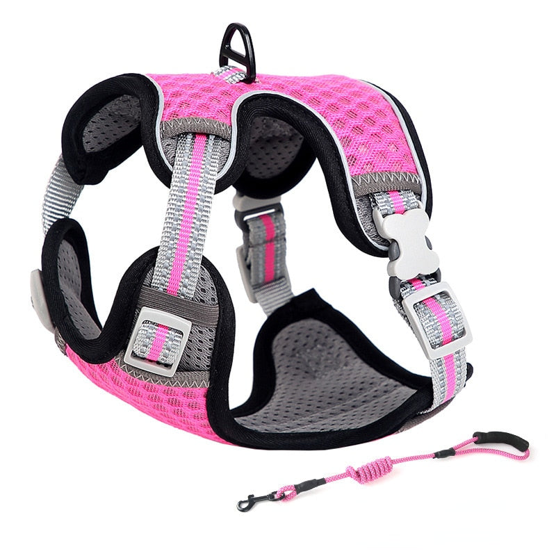 Cat Full Body Harness