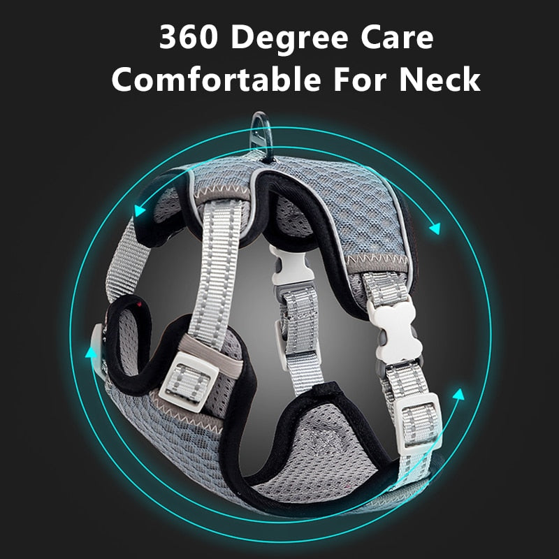 Cat Full Body Harness