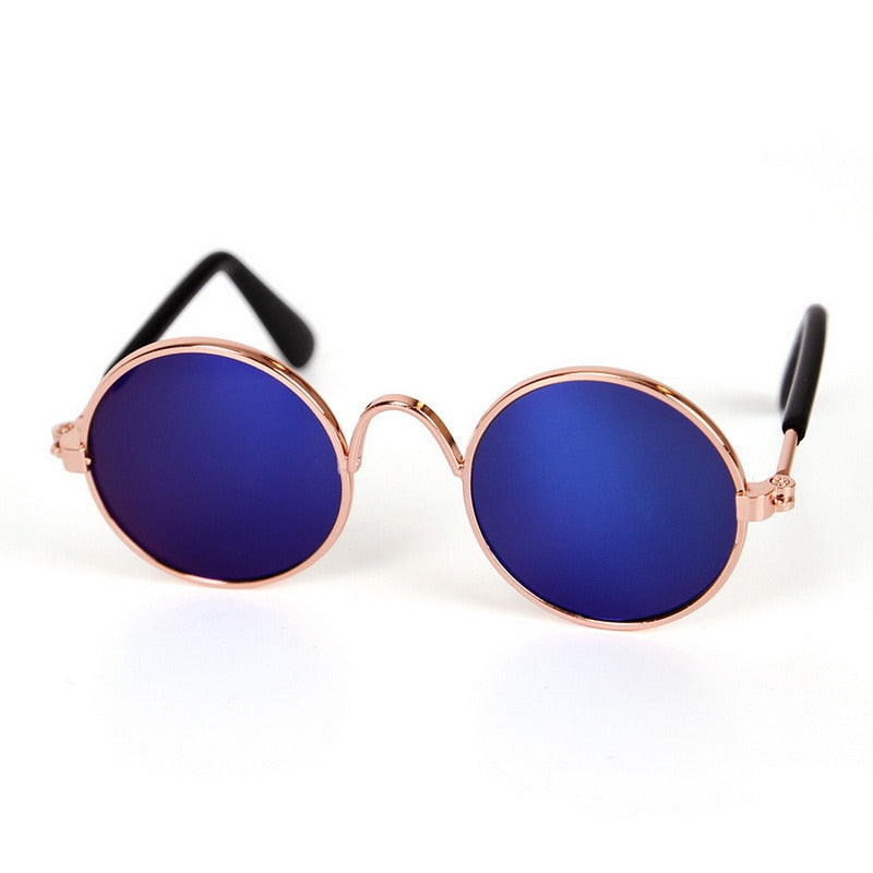 Cat Glasses