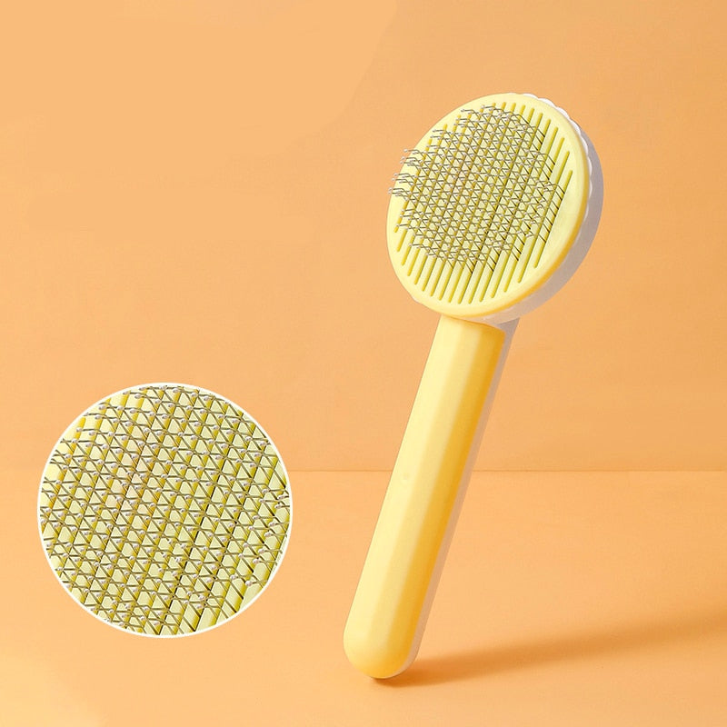 Cat Hair Brush
