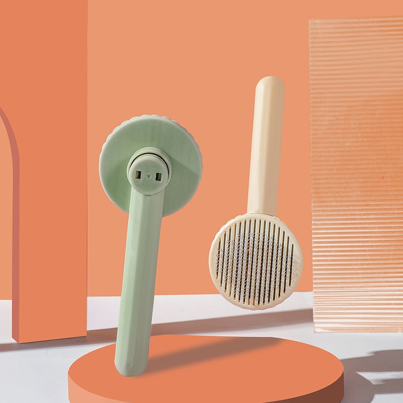 Cat Hair Brush