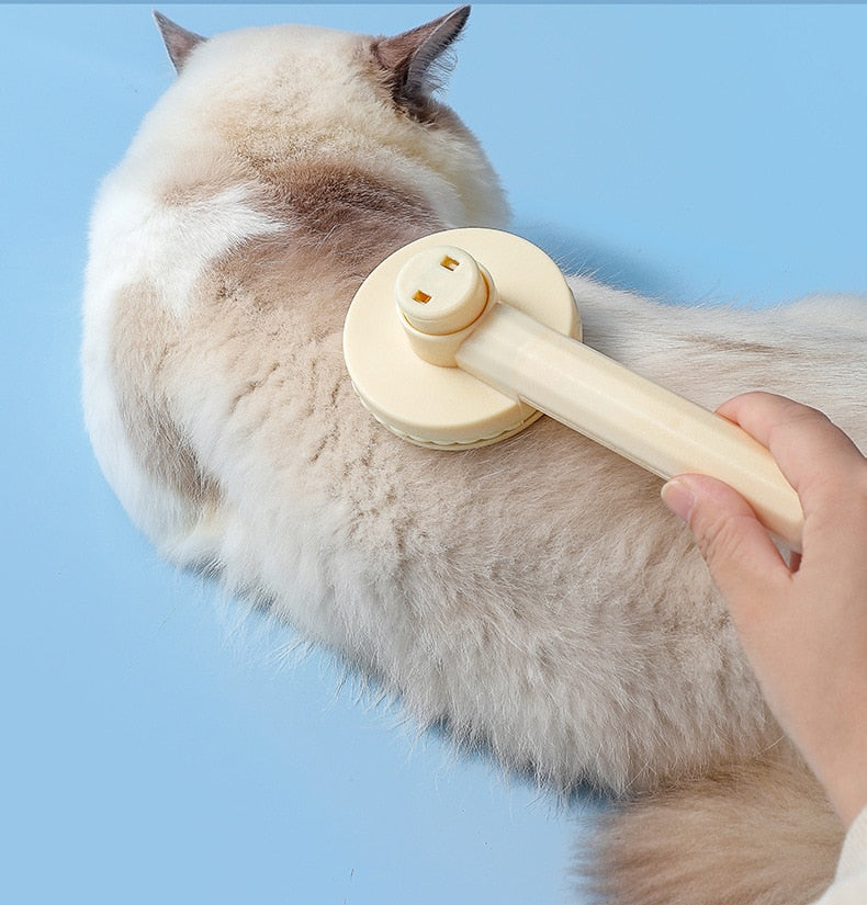 Cat Hair Brush