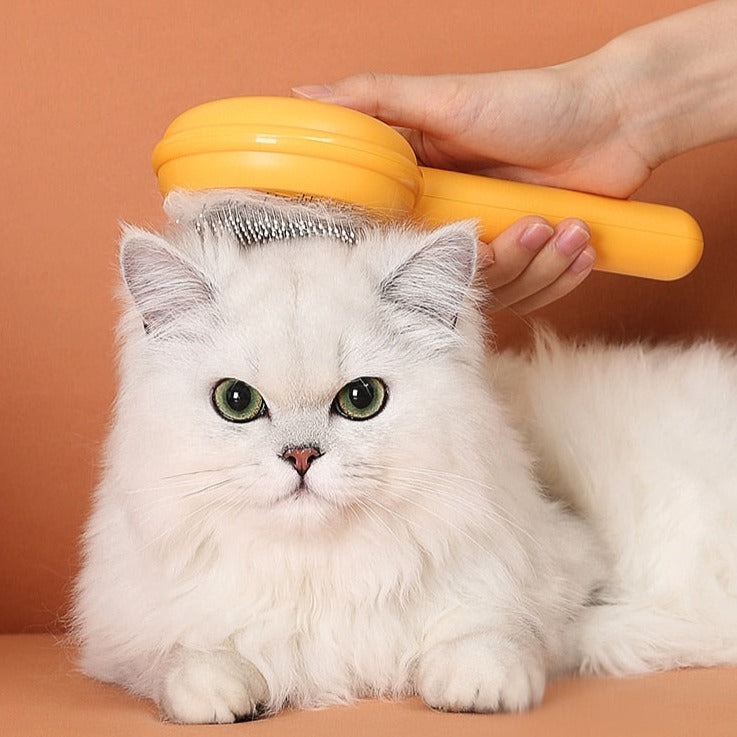 Cat Hair Remover Brush