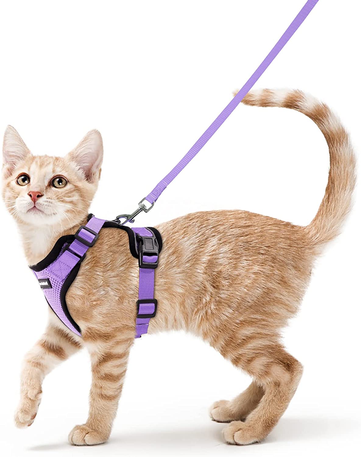 Cat Harness and Leash